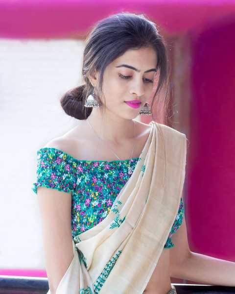 multi colour blouse with plain saree