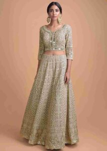 Brown beige Lehenga Choli With Lucknowi Work In Geometric And Floral Pattern
